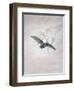 Owl Flying Against a Moonlit Sky-Caspar David Friedrich-Framed Giclee Print