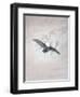 Owl Flying Against a Moonlit Sky-Caspar David Friedrich-Framed Giclee Print