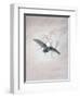 Owl Flying Against a Moonlit Sky-Caspar David Friedrich-Framed Giclee Print