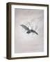 Owl Flying Against a Moonlit Sky-Caspar David Friedrich-Framed Giclee Print