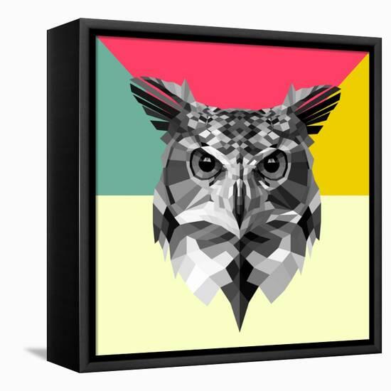 Owl Head-Lisa Kroll-Framed Stretched Canvas