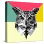 Owl Head-Lisa Kroll-Stretched Canvas