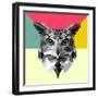 Owl Head-Lisa Kroll-Framed Art Print