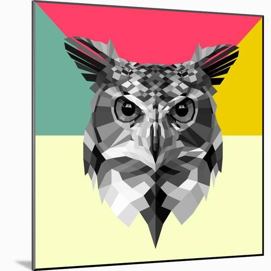 Owl Head-Lisa Kroll-Mounted Art Print