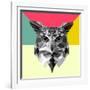 Owl Head-Lisa Kroll-Framed Art Print