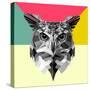 Owl Head-Lisa Kroll-Stretched Canvas