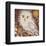 Owl I-Irena Orlov-Framed Art Print