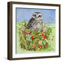 Owl in a Woodland Basket, 1993-E.B. Watts-Framed Giclee Print