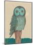 Owl In Blue Monotone-Paula Mills-Mounted Art Print