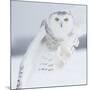 Owl in Flight I-PHBurchett-Mounted Art Print