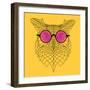 Owl in Pink Glasses-Lisa Kroll-Framed Premium Giclee Print