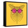 Owl in Pink Glasses-Lisa Kroll-Framed Stretched Canvas
