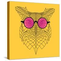 Owl in Pink Glasses-Lisa Kroll-Stretched Canvas