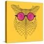 Owl in Pink Glasses-Lisa Kroll-Stretched Canvas