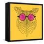 Owl in Pink Glasses-Lisa Kroll-Framed Stretched Canvas