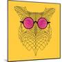 Owl in Pink Glasses-Lisa Kroll-Mounted Art Print
