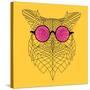 Owl in Pink Glasses-Lisa Kroll-Stretched Canvas