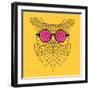 Owl in Pink Glasses-Lisa Kroll-Framed Art Print