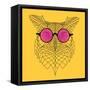 Owl in Pink Glasses-Lisa Kroll-Framed Stretched Canvas