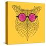 Owl in Pink Glasses-Lisa Kroll-Stretched Canvas