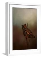 Owl in the Marsh-Jai Johnson-Framed Giclee Print