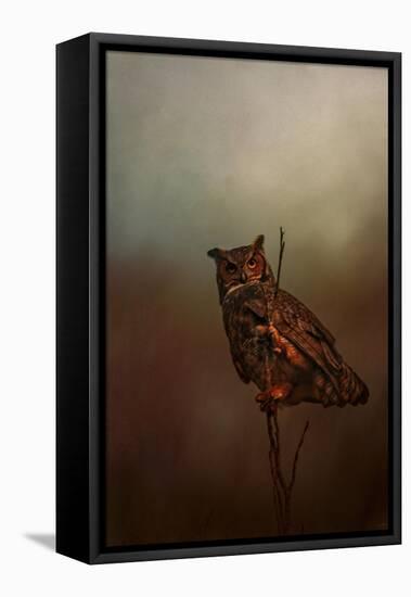 Owl in the Marsh-Jai Johnson-Framed Stretched Canvas