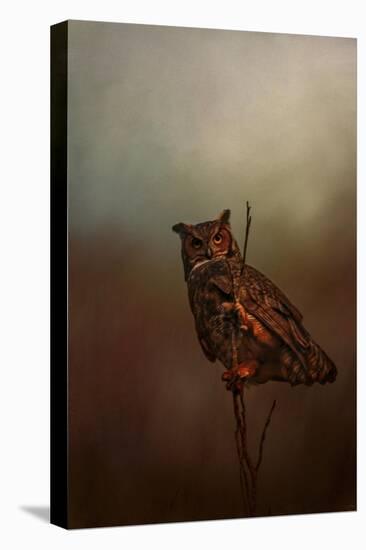 Owl in the Marsh-Jai Johnson-Stretched Canvas