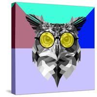 Owl in Yellow Glasses-Lisa Kroll-Stretched Canvas