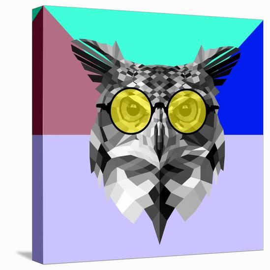 Owl in Yellow Glasses-Lisa Kroll-Stretched Canvas