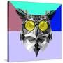 Owl in Yellow Glasses-Lisa Kroll-Stretched Canvas