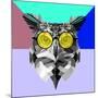 Owl in Yellow Glasses-Lisa Kroll-Mounted Art Print