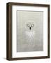 Owl - Jethro Wilson Contemporary Wildlife Print-Jethro Wilson-Framed Art Print