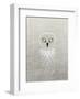 Owl - Jethro Wilson Contemporary Wildlife Print-Jethro Wilson-Framed Art Print