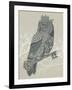 Owl King-Rachel Caldwell-Framed Art Print