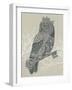 Owl King-Rachel Caldwell-Framed Art Print