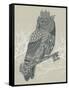 Owl King-Rachel Caldwell-Framed Stretched Canvas