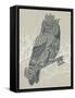 Owl King-Rachel Caldwell-Framed Stretched Canvas