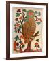 Owl, Lubok Print, 1800-null-Framed Giclee Print