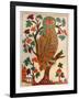 Owl, Lubok Print, 1800-null-Framed Giclee Print