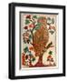 Owl, Lubok Print, 1800-null-Framed Premium Giclee Print