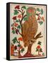 Owl, Lubok Print, 1800-null-Framed Stretched Canvas