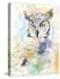 Owl Majestic II-Annie Warren-Stretched Canvas