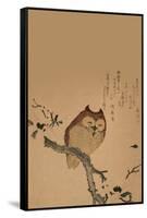 Owl of Branch-null-Framed Stretched Canvas