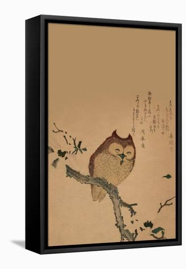 Owl of Branch-null-Framed Stretched Canvas