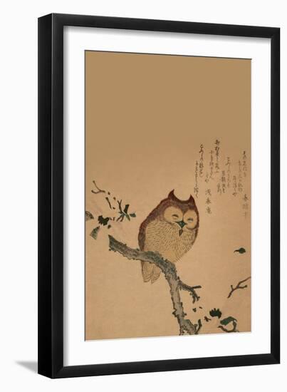 Owl of Branch-null-Framed Art Print