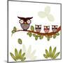 Owl On A Branch-Debra Hughes-Mounted Art Print