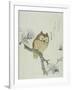 Owl on a Flowering Magnolia Branch-Kubo Shunman-Framed Giclee Print