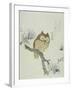 Owl on a Flowering Magnolia Branch-Kubo Shunman-Framed Giclee Print