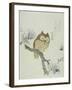 Owl on a Flowering Magnolia Branch-Kubo Shunman-Framed Giclee Print