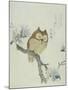 Owl on a Flowering Magnolia Branch-Kubo Shunman-Mounted Giclee Print